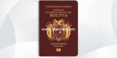 إليك كيفية الحصول على الجنسية البوليفية 2026