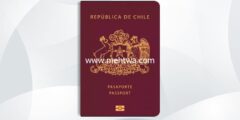 إليك كيفية الحصول على الجنسية التشيلية 2026