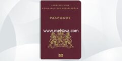 إليك كيفية الحصول على الجنسية الهولندية 2026
