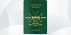 إليك كيفية الحصول على الجنسية الناميبية 2026