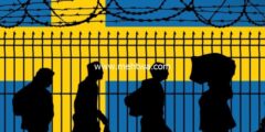 إليك رفض اللجوء إلى السويد والعودة الطوعية من السويد 2026