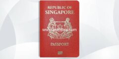 إليك كيفية الحصول على جنسية سنغافورة 2026