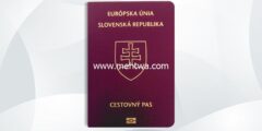 إليك كيفية الحصول على الجنسية السلوفاكية 2026