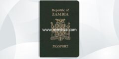 إليك كيفية الحصول على الجنسية الزامبية 2026