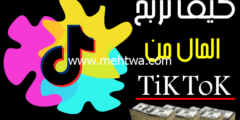 إليك كيفية الربح من التيك توك: أهم الطرق لربح أزيد من 1000$ شهرياً 2026