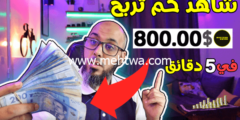 إليك كيف نربح أزيد من 800$ في 5 دقائق | الحقيقة وراء الربح من اليوتيوب 2026