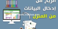 إليك الربح من إدخال البيانات من المنزل Data Entry 2025