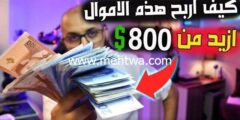 إليك دورة الربح من الانترنت: كيف تربح أزيد من 1000$ شهرياً من الانترنت 2026