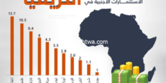 إليك لأول مره أسرار الربح من الاستثمار في أفريقيا إليكها الان وأربح 2026