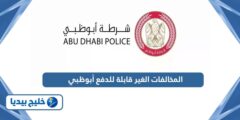 إليك طريقة دفع المخالفات الغير قابلة للدفع أبوظبي 2025