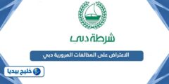 إليك رابط دفع المخالفات المرورية شرطة دبي dubaipolice.gov.ae 2025