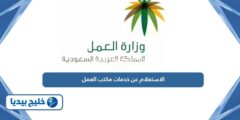 إليك كيفية الاستعلام عن خدمات مكتب العمل 2025