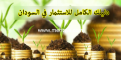 إليك لأول مره بشكل حصري أسرار الربح من الاستثمار في السودان إليكها الان وأربح 2026