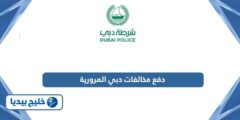 إليك جميع طرق دفع مخالفات دبي المرورية أون لاين 2025