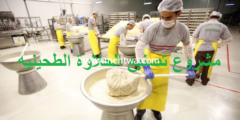إليك خط إنتاج الحلاوة الطحينية ومراحل التصنيع 2026