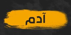 تعرف علي معنى اسم آدم وشخصيته وأبرز 10 صفات حامل لأسم “ADAM” 2026