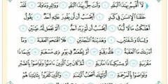 فوائد تلاوة سورة البلد وأهم مقاصدها 2026