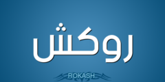 تعرف علي معنى اسم روكَش (ROKASH) وصفات من يحمله 2026