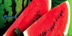 تفسير رؤية البطيخ في الحلم يدل على تفريج الكرب 2026