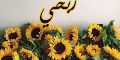 تعرف علي معنى اسم ربحي (Rebhi) وصفات من يحمله 2026