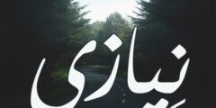 تعرف علي تعرف على معنى اسم نيازي (Neyazi) وصفاته 2026