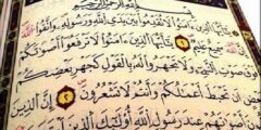 سبب تسمية سورة الحجرات بإسم سورة الأخلاق 2026