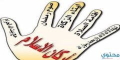 ما هي اركان الاسلام الخمسة 2026