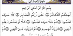 الدروس المستفادة من تلاوة سورة التكاثر 2026