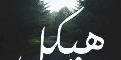 تعرف علي معنى اسم هيكل وصفاته – موقع محتوى 2026