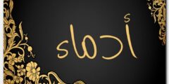 تعرف علي معنى اسم أدماء وصفات حاملة الاسم Admaa 2026