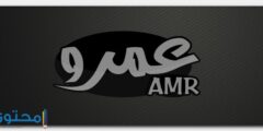 تعرف علي معنى اسم عمرو حسب علم النفس Amr 2026