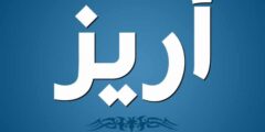 تعرف علي معنى اسم اريز وحكم تسميتة Ariz 2026