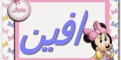 تعرف علي معنى اسم افين وصفاتها (Avin) في معجم معاني الأسماء 2026