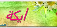 تعرف علي معنى اسم أيكة وصفات حاملة الاسم 2026