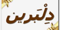 تعرف علي معنى اسم دلبرين وأصله – موقع محتوى 2026