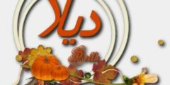 تعرف علي معنى اسم ديلا وأصله – موقع محتوى 2026