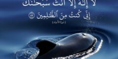فائدة ذكر لا اله الا انت سبحانك اني كنت من الظالمين 2026