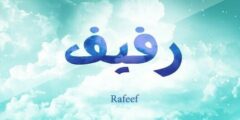 تعرف علي معني اسم رفيف بالتفاصيل (Rafef) 2026