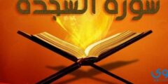 تفسير رؤية سورة السجدة في المنام للحامل والعزباء 2026