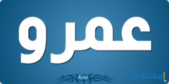 تفسير اسم عمرو في المنام 2026