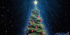 تفسير رؤية شجرة عيد الميلاد في المنام 2026