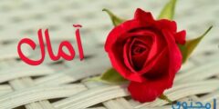 معني رؤية اسم آمال في الحلم 2026