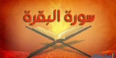 تفسير سورة البقرة في المنام 2026