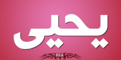 تفسير رؤية اسم يحيى في المنام 2026