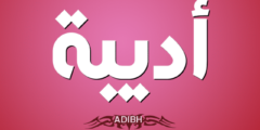 تعرف علي معنى اسم أديبة وصفات شخصيتها Adiba 2026
