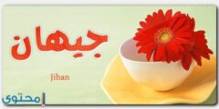 تعرف علي معنى اسم جيهان (Jihan) و7 من صفاتها الشخصية 2026