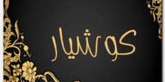 تعرف علي معنى اسم كوشيار وصفات حامل الاسم Kushiar 2026