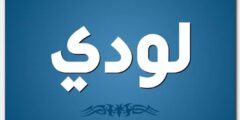 تعرف علي معنى اسم لودي وصفات حامل الاسم (Lodi) 2026