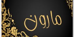 تعرف علي معنى اسم مارون وصفات حامل الاسم Maroon 2026