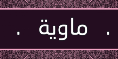 تعرف علي معنى اسم ماوية وحكم تسميته Mawyh 2026